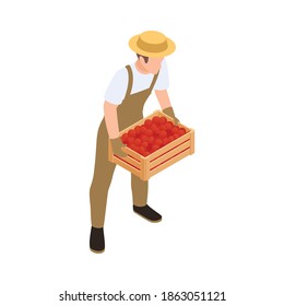 Worker gathering harvest 3d isometric vector illustration