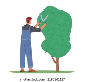 Árbol de recorte de caracteres masculino trabajador en jardín aislado en fondo blanco. El hombre que hace jardinería trabaja para podar y cortar ramas con tijeras. Ocupación del trabajo de los agricultores. Ilustración del vector de dibujos animados