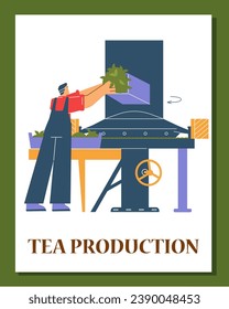 Worker put tea leaves in machine. Tea processing and production stage concept. Vector illustration poster on white background.