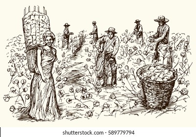 Workers picking cotton. Hand drawn illustration.