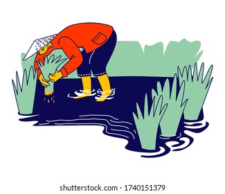 Workers in Thai or China Working on Field in Rainy Season. Chinese or Thailand Farmers Characters Soaked with Water and Mud Planting, Grow and Collecting Rice for Selling. Linear Vector Illustration