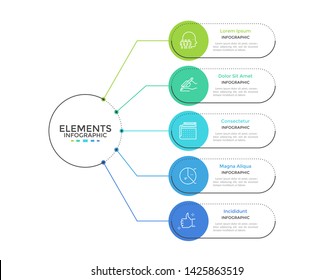 Workflow diagram with five rounded elements connected to main circle. Concept of 5 steps or stages of business strategy. Simple infographic design template. Flat vector illustration for presentation.