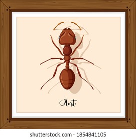 Trabajando sobre la ilustración de marco de madera