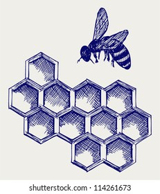 Working bee on honeycells