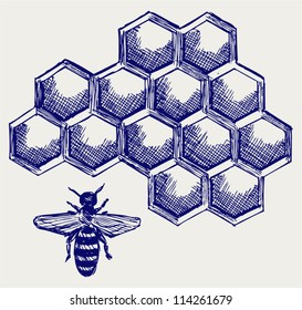 Working bee on honeycells