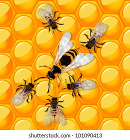 Working bees defending a honeycomb from a wasp. Transparency effect.