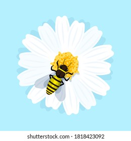 Working honey bee is sitting on the flower and collecting nectar. Flat style illustration