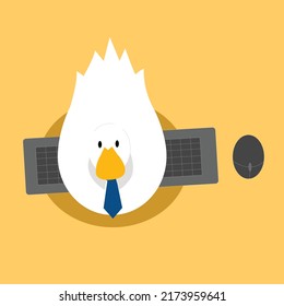 la vida laboral de un pato