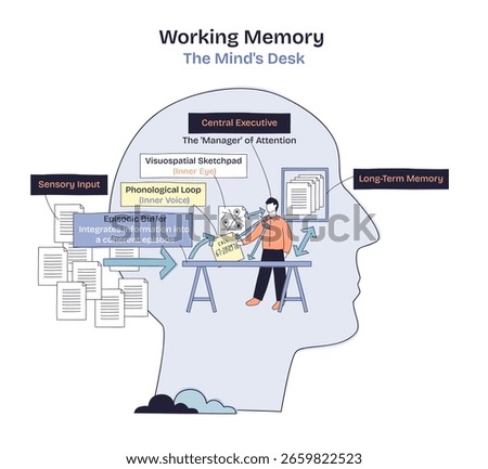 Working memory is visualized as a minds desk, showing central executive, sensory input, and long-term memory connections. Doodle style diagram