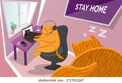 Working remotely concept. Self isolation concept. A fat red cat works or learns remotely home on a laptop in a room and afraid to wake his sleeping cat. Stay home. Quarantine. Self-isolation. Covid-19