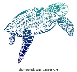 Working sea turtle vector file that you can easily edit and change colors. Use for logos, flyers, business cards, and on websites.