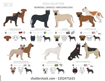 brazilian dog breeds