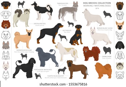 26,822 Service dog Stock Vectors, Images & Vector Art | Shutterstock