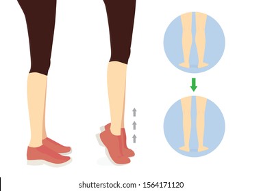Workout diagram about Calves reduction with toe stand exercise. Illustration about slim leg with workout.