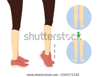 Workout diagram about Calves reduction with toe stand exercise. Illustration about slim leg with workout. Stock photo © 