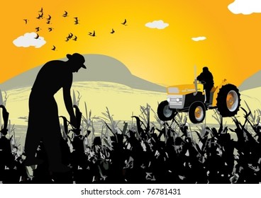 works in the field