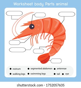 Worksheet body parts shrimp animal
