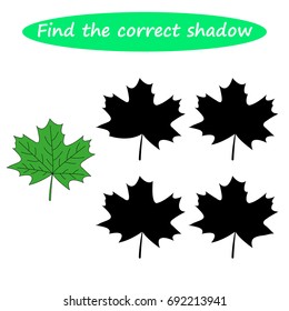 Worksheet  . Find the correct shadow. Educational game for children. Find the right shadow, Maple Leaf  - task for preschool  kids. vector. 