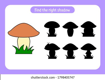 Worksheet find the right shadow for the picture of mushroom. Educational game for children. Trains attention and concentration. Vector illustration