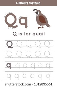 Worksheet for learning alphabet. Tracing letter Q with cute cartoon quail. Educational worksheet for kids. 