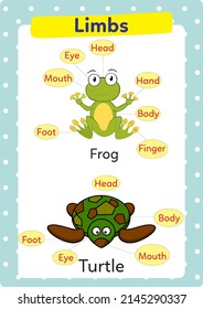 Worksheet on animals and their limbs