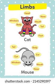 Worksheet on animals and their limbs