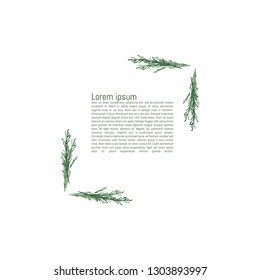 The worksheet paper blank template or invitation with a picture of the rosemary branches leaves vector