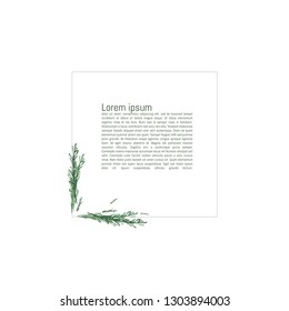 The worksheet paper blank template or invitation with a picture of the rosemary branches leaves vector