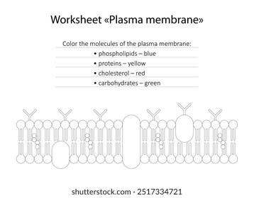 Folha de cálculo "Membrana de plasma". Colorir as moléculas da membrana plasmática.