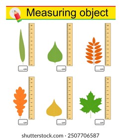 Worksheet for preschool kids. Measuring the length of the leaves with a ruler. 