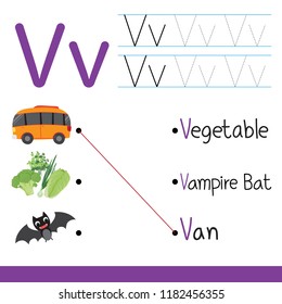 worksheet vector collection design