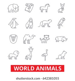 World animals, giraffe, zebra, zoo parrot, hippo, pets, fox, monkey, tiger, bird line icons. Editable strokes. Flat design vector illustration symbol concept. Linear signs isolated on white background