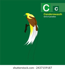 The world of Aves, bird of paradise, Cenderawasih illustration for learning book letter C. 