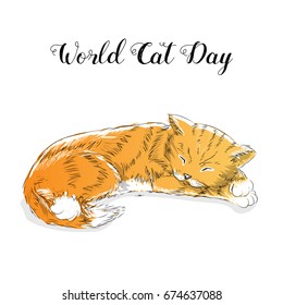 World Cat Day. International holiday. Vector illustration