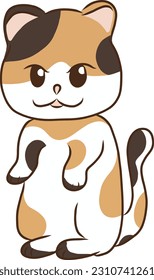 world cat day,stray cat world