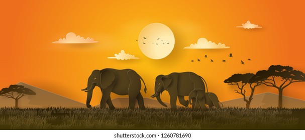 World elephant Day ,family of elephant in the grass with sunset , Paper art 3d  from digital craft style.