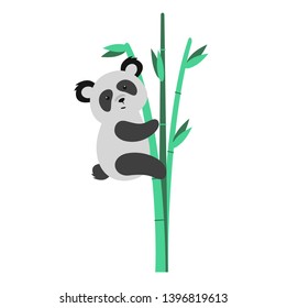 world environment day panda on bamboo