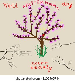 World Environment Day.
The tree of the apricot is under the threat of drought