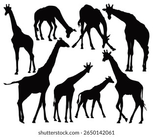 Dia Mundial da Girafa. Silhueta Girafa. Ilustração vetorial de ícones de girafa. Animais selvagens, criaturas selvagens, conceito de vida selvagem, animal de pescoço longo. Silhueta de Girafa isolada em poses diferentes brancas.