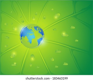 World globe on a green leaf