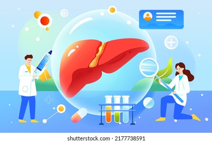 World hepatitis day, doctor examines liver to treat hepatitis disease, vector illustration