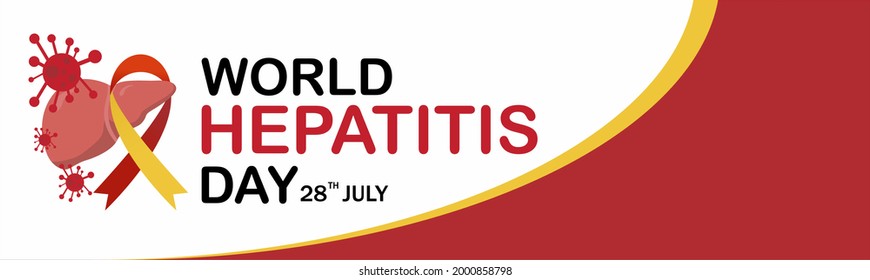 
World Hepatitis Day vector illustration. Vector banner for social media, card, poster. Illustration with text World Hepatitis Day, 28 July. Red and yellow ribbon on a white background.