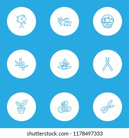 World icons line style set with bucket of fruit, pot plant, eco food and other harvest elements. Isolated vector illustration world icons.