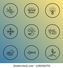 World icons line style set with fish bone, fauna, snow and other snowflake elements. Isolated vector illustration world icons.