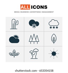 World Icons Set. Collection Of Cactus, Snowstorm, Cold Climate And Other Elements. Also Includes Symbols Such As Leaf, Sunny, Oak.
