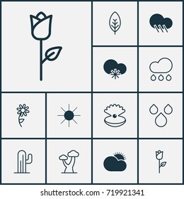 World Icons Set. Collection Of Oak, Tree Leaf, Rain And Other Elements. Also Includes Symbols Such As Rain, Seashell, Pearl.