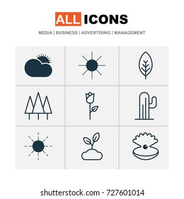 World Icons Set. Collection Of Seashell, Love Flower, Tree Leaf And Other Elements. Also Includes Symbols Such As Valentine, Sunny, Desert.