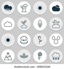World Icons Set. Collection Of Tree Leaf, Cloud, Seashell And Other Elements. Also Includes Symbols Such As Plant, Rain, Pearl.