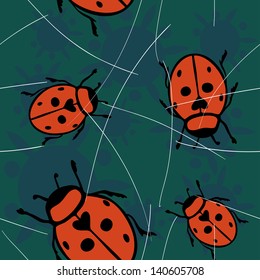 world of insects