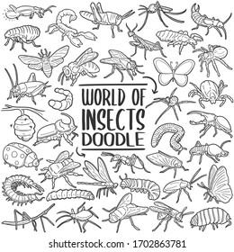 World of Insects, Animal Set Line art.
Doodle vector art design. Sketch traditional illustration.